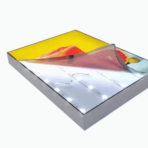 DigiCan Backlit Pearl